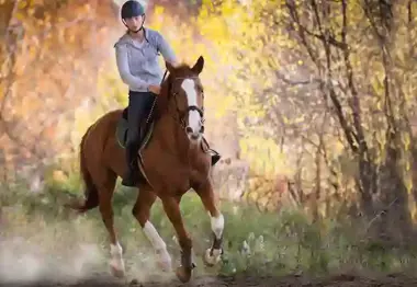 Exercise rider